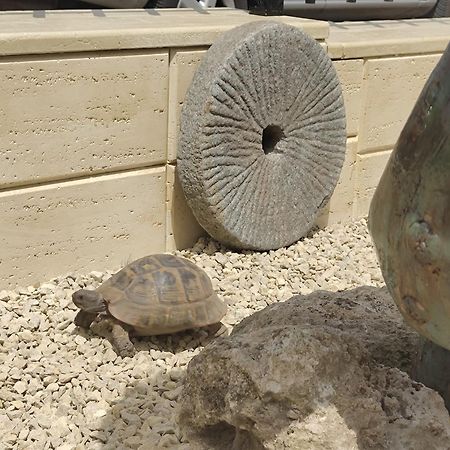 فندق La Doi Pasi De Mare فاما فيكي المظهر الخارجي الصورة