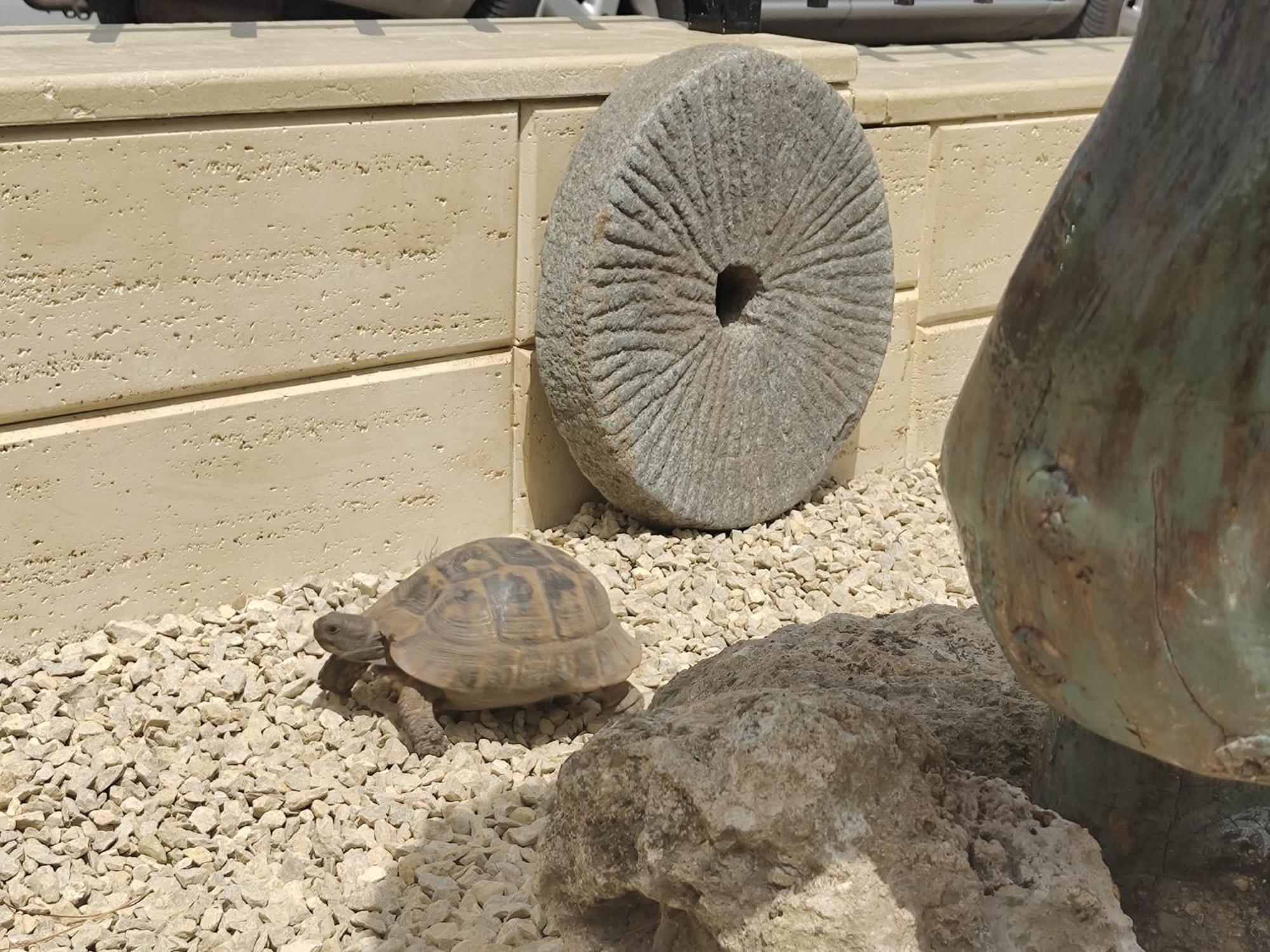 فندق La Doi Pasi De Mare فاما فيكي المظهر الخارجي الصورة